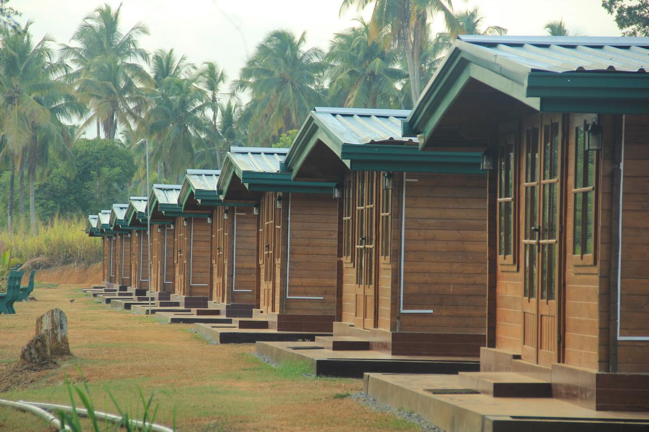 Ma Oya Retreat Pinnawala Pinnawala (Kegalle) Exteriör bild