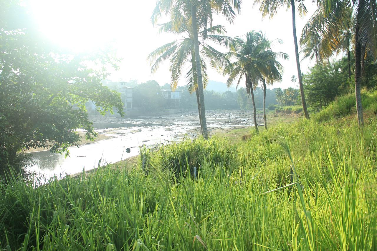 Ma Oya Retreat Pinnawala Pinnawala (Kegalle) Exteriör bild