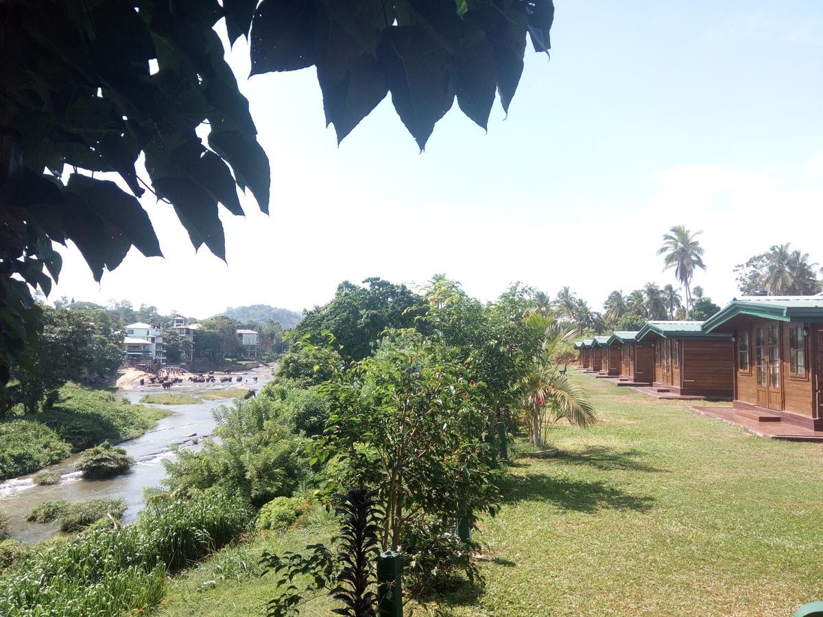 Ma Oya Retreat Pinnawala Pinnawala (Kegalle) Exteriör bild