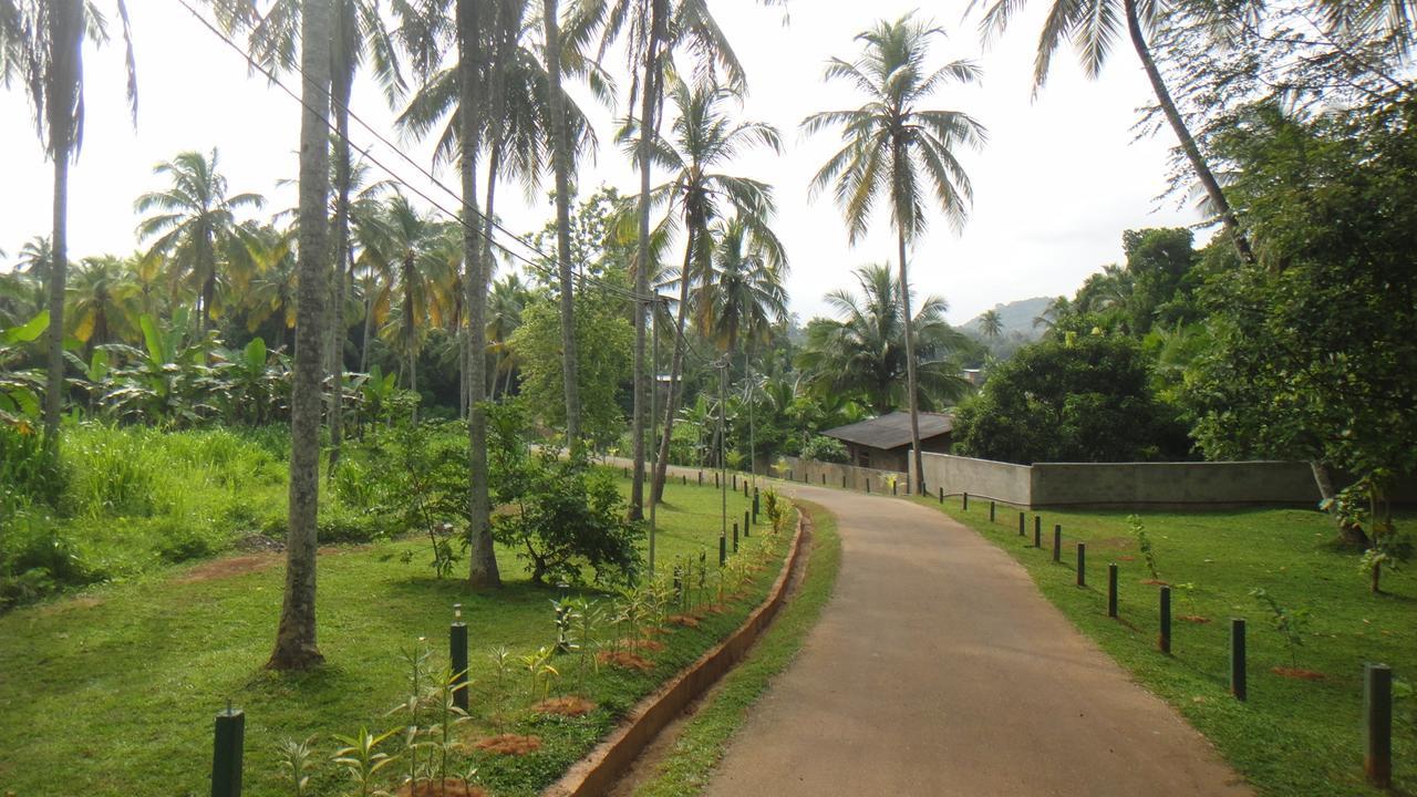 Ma Oya Retreat Pinnawala Pinnawala (Kegalle) Exteriör bild