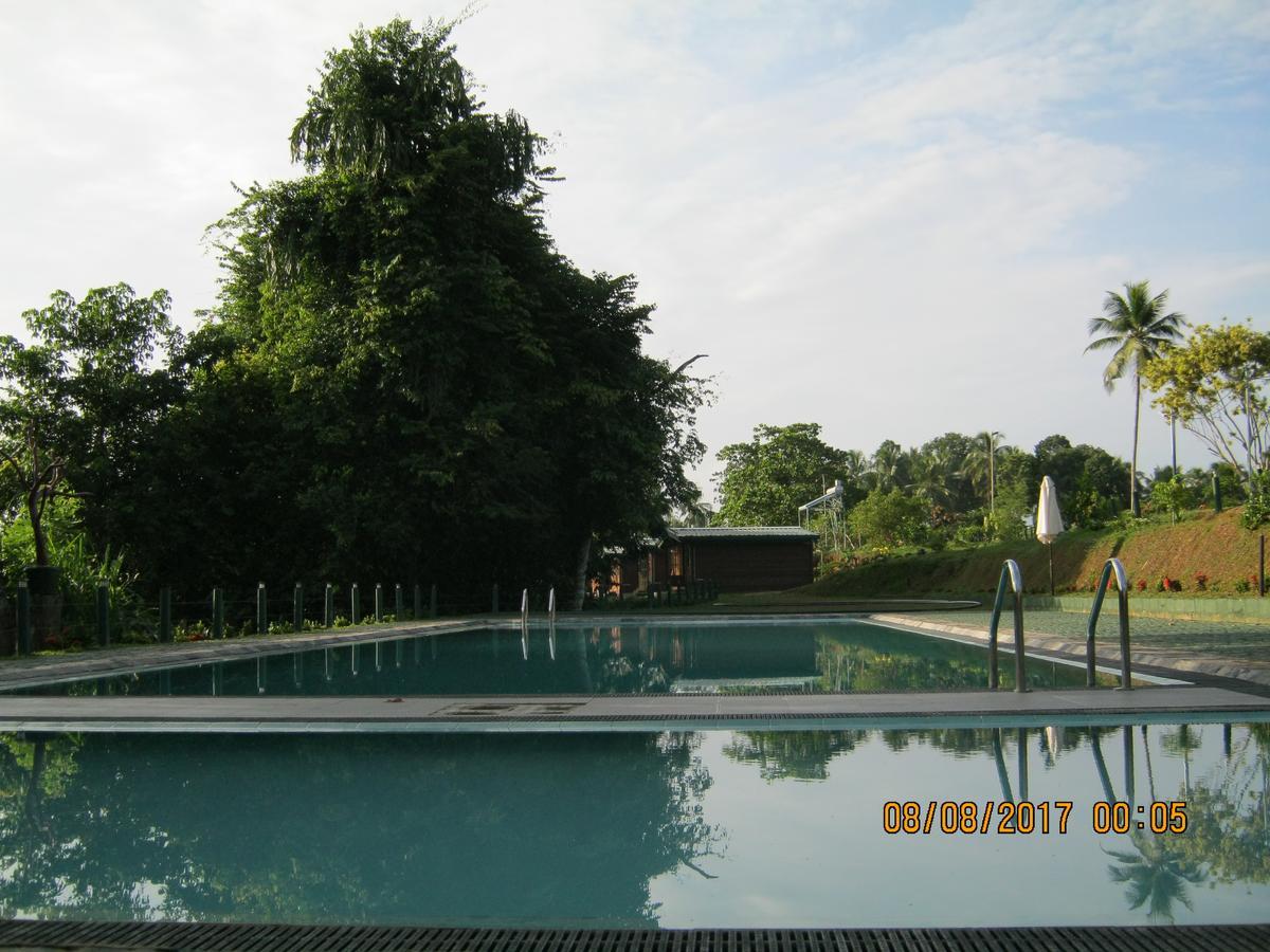 Ma Oya Retreat Pinnawala Pinnawala (Kegalle) Exteriör bild